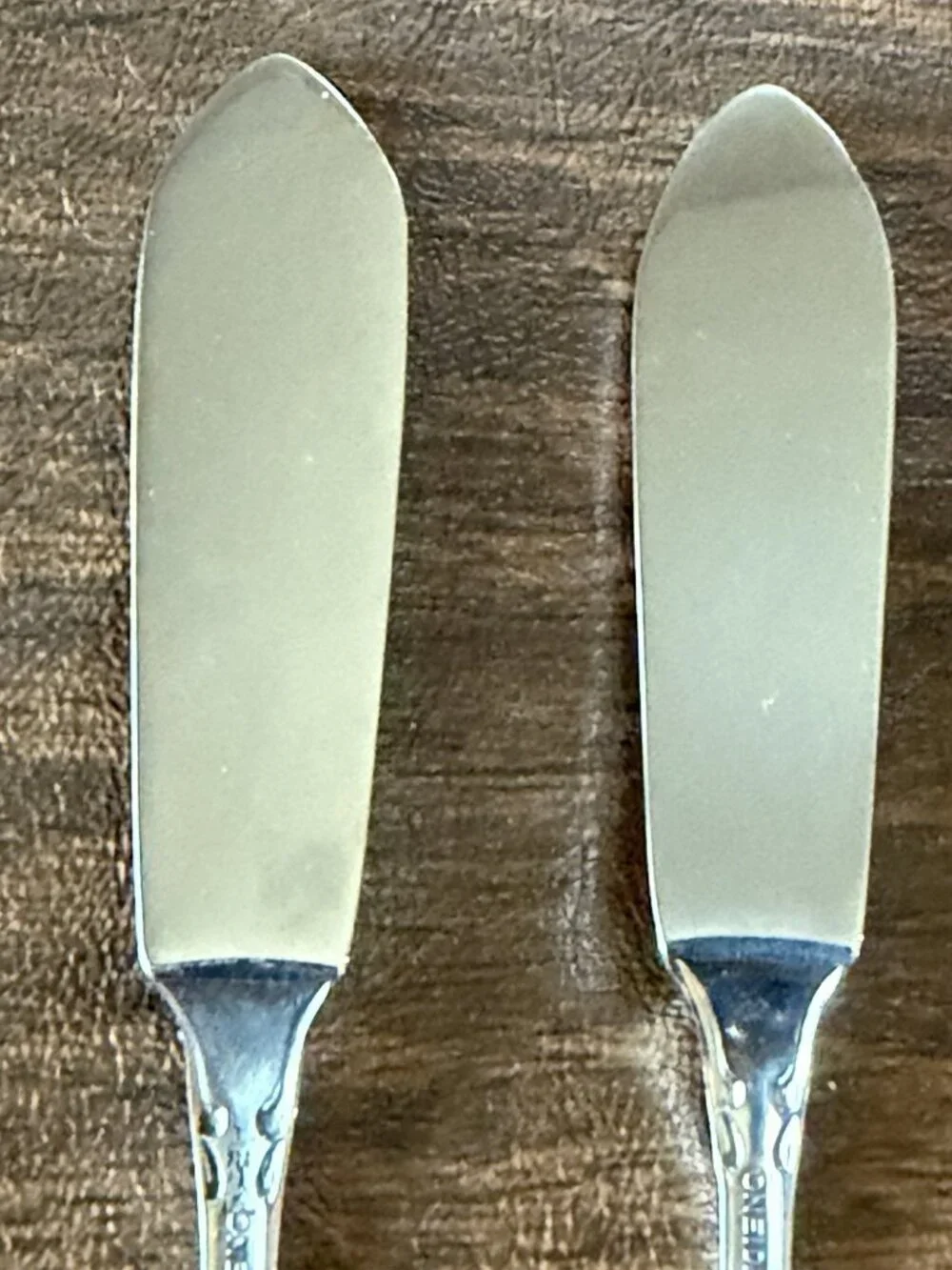 Set of 2 Oneida Community Chatelaine Stainless Master Butter Knives Flatware